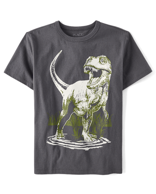 Boys Dino Graphic Tee