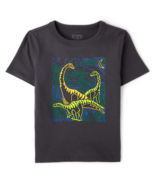 Baby And Toddler Boys Dino Graphic Tee