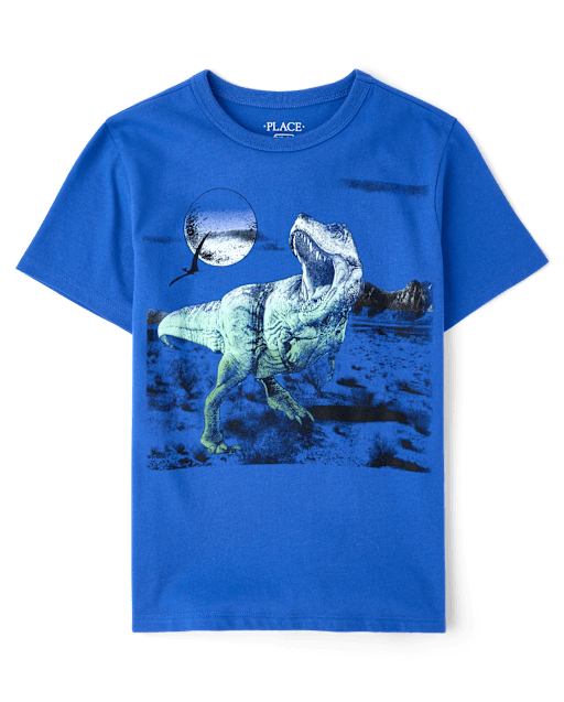 Boys Dino Graphic Tee
