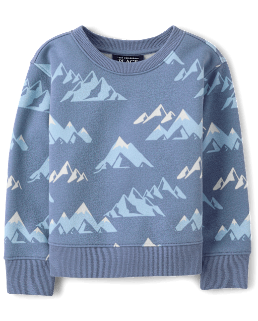Toddler Boys Print Premium Fleece Sweatshirt