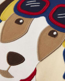 Boys Pilot Dog Raglan Top - Aviator School