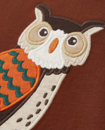 Boys Embroidered Owl Raglan Top - Autumn Harvest