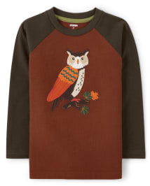 Boys Embroidered Owl Raglan Top - Autumn Harvest
