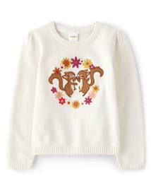 Girls Embroidered Squirrel Sweater - Happy Harvest