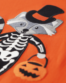 Boys Embroidered Raccoon Raglan Top - Trick or Treat