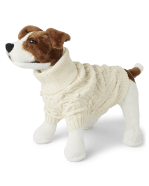 Pull en tricot torsadé familial assorti pour chien