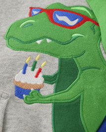 Boys Embroidered Dino Fleece Hoodie - Birthday Boutique
