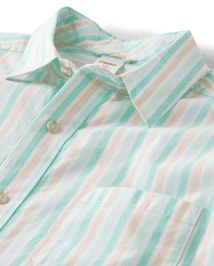 Mens Dad And Me Striped Poplin Button Up Shirt - Signs of Spring