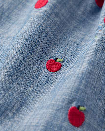 Girls Embroidered Apple Chambray Skort - Classroom Cutie
