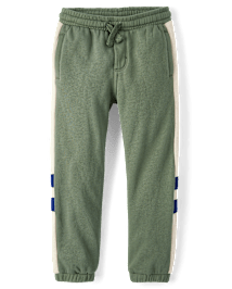 Boys Colorblock Fleece Jogger Pants - Dino Friends