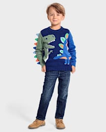Pull Dino pour garçon - Dino Friends