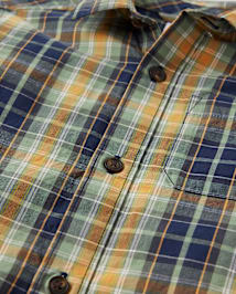 Boys Plaid Poplin Button Up Shirt - Dino Friends
