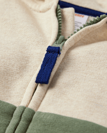 Sweat à capuche zippé colorblock pour garçon - Dino Friends