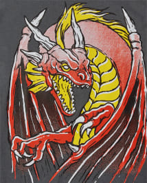 T-shirt graphique dragon pour garçon