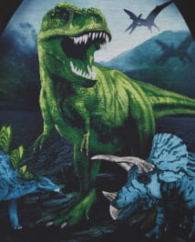 Boys Dino Pajamas