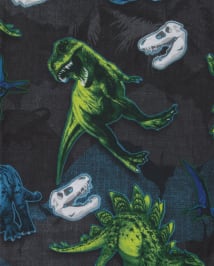 Boys Dino Pajamas