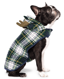 Buck Buck Moose Kids Pajamas, Moose Pajamas, Plaid Pajamas