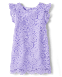 Baby And Toddler Girls Lace Shift Dress