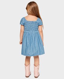 Toddler Girls Chambray Smocked Dress