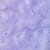 LETTER O