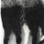 3043404_01