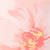 PINK TINGE