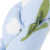 3036616_916