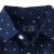 3040457_IV