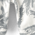3047036_798