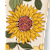 3047831_32DZ