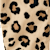 3050744_1438