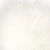 3051033_BQ