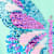 3052104_1872