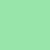 SEA TURTLE
