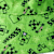 3054842_BQ