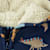 3055250_IV