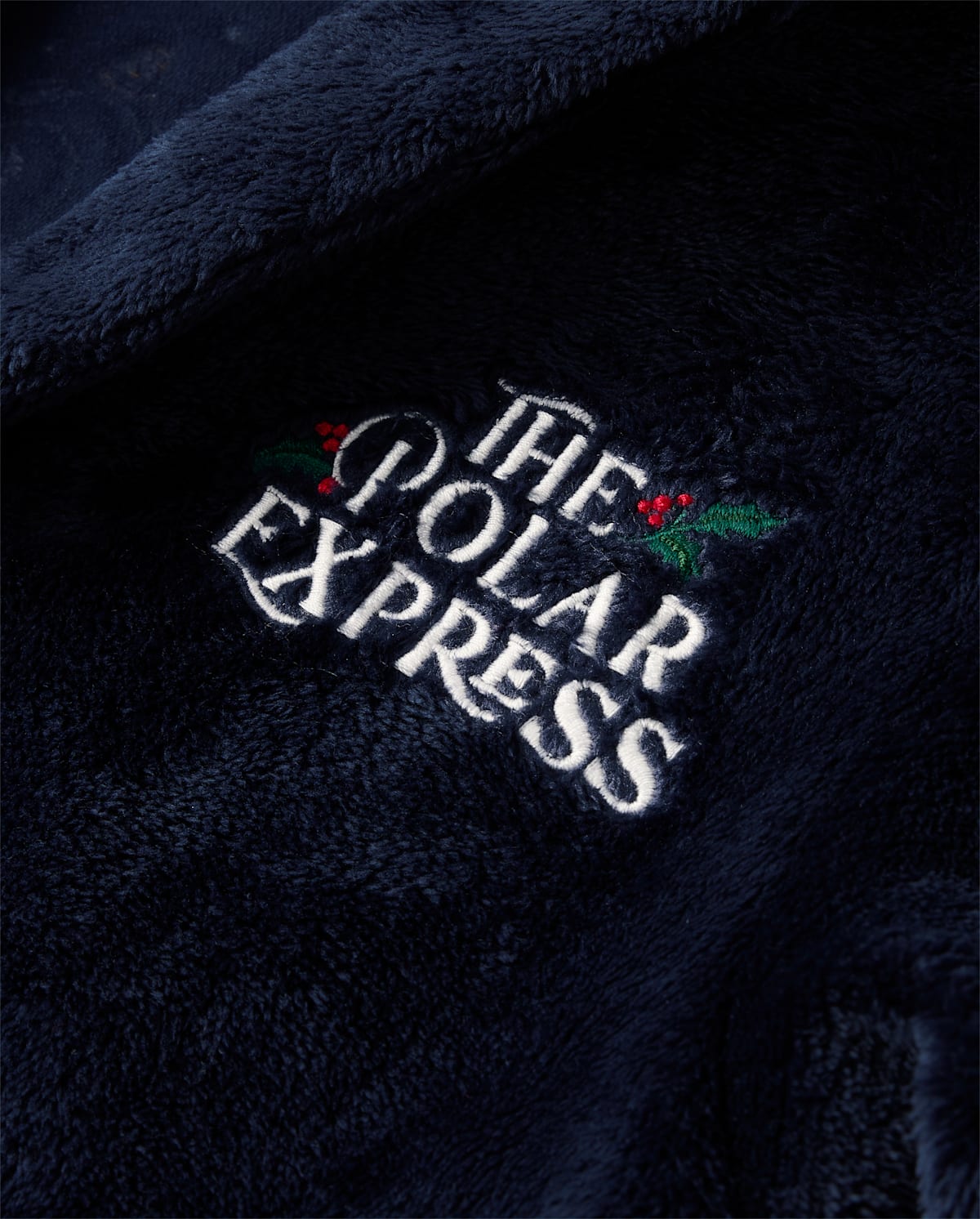 Халат Polar Express™ Train для детей, вышивка, флис — Gymboree, цвет: Синий
