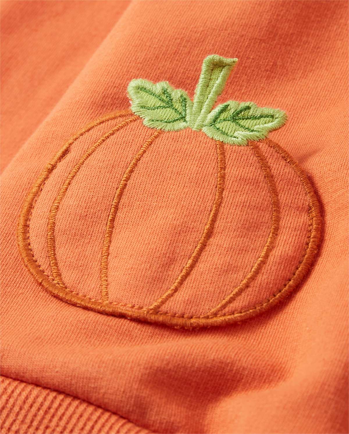 Детские худи Gymboree Girls Embroidered Zip Up - Pumpkin Patch