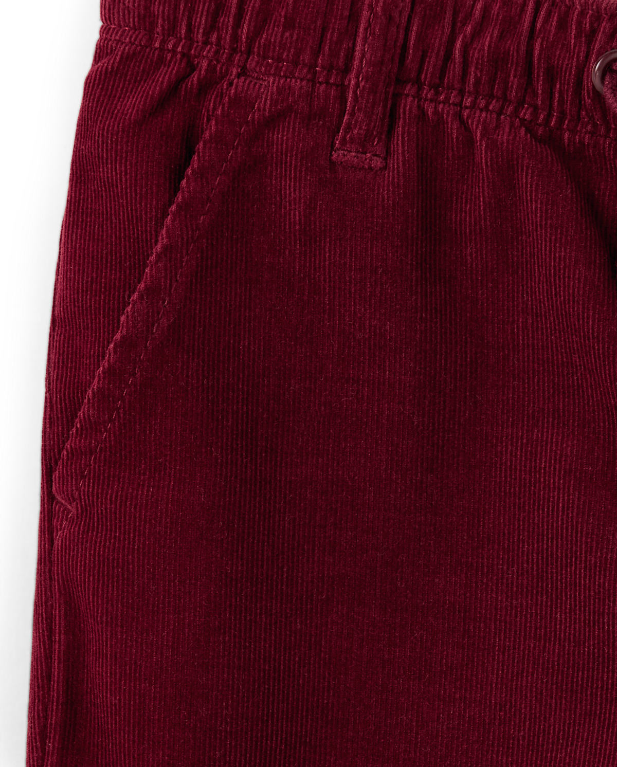 Детские брюки Gymboree Boys Corduroy Pull On Jogger Pants - Critter Campout — фото 2