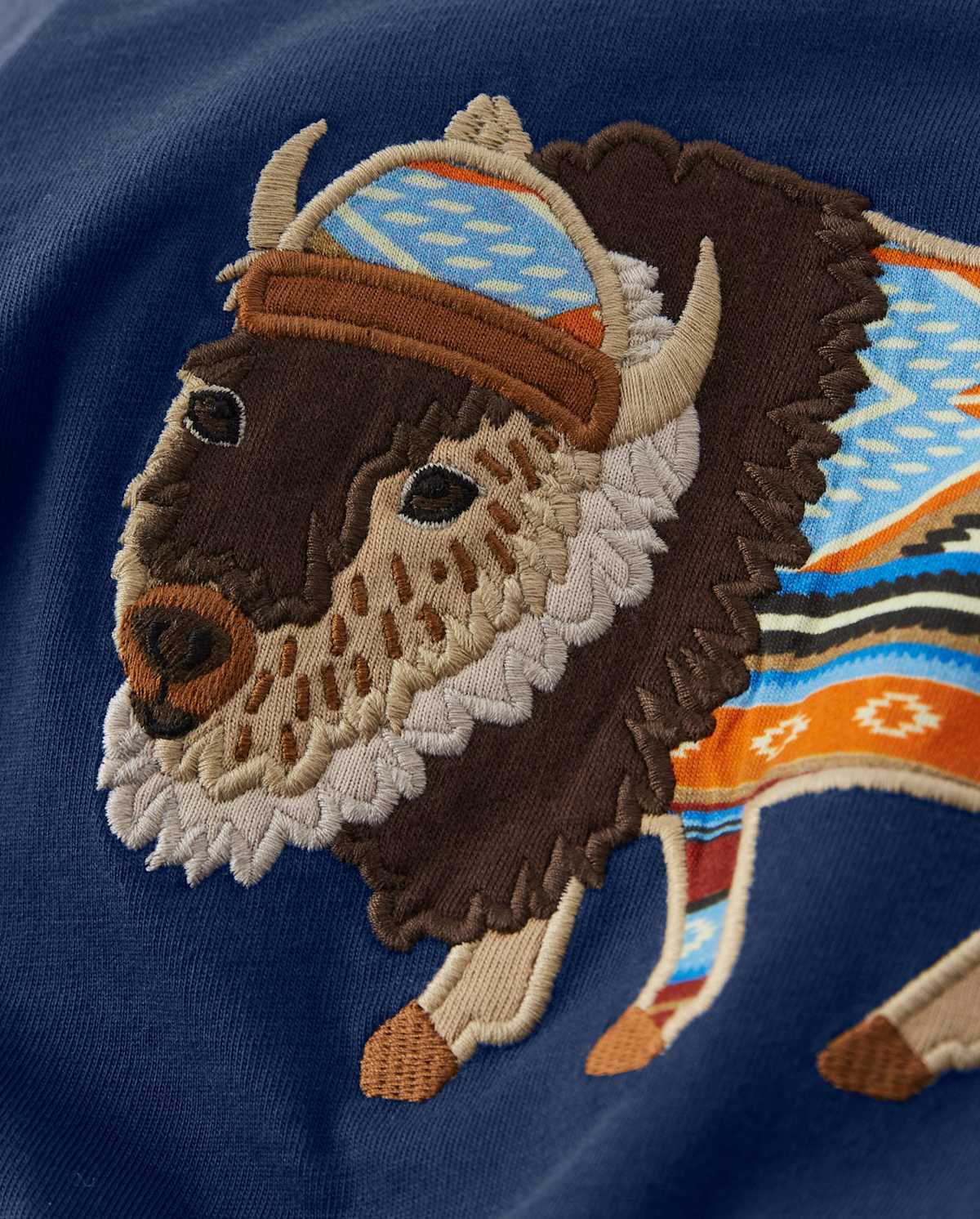 Детские топы Gymboree Boys Embroidered Bison Top - Western Skies