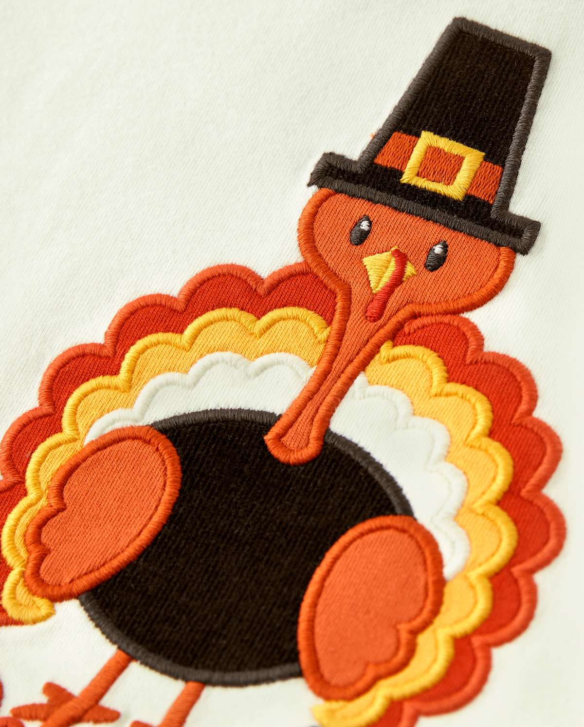 Детские топы Gymboree Boys Embroidered Turkey Raglan Top - Harvest