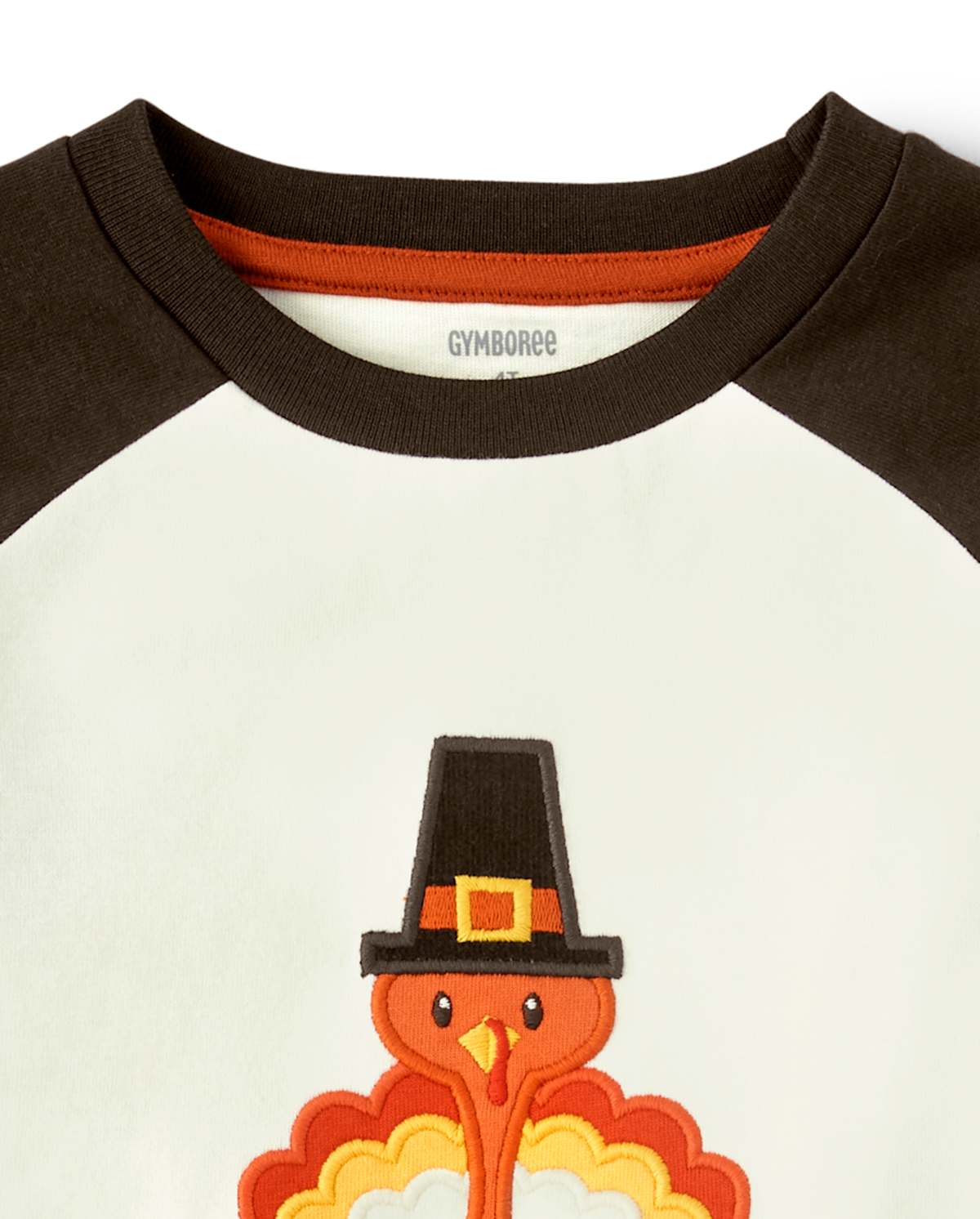 Детские топы Gymboree Boys Embroidered Turkey Raglan Top - Harvest — фото 2