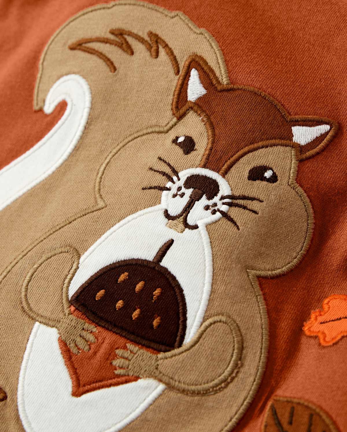 Детские топы Gymboree Boys Embroidered Squirrel Layered Top - Harvest