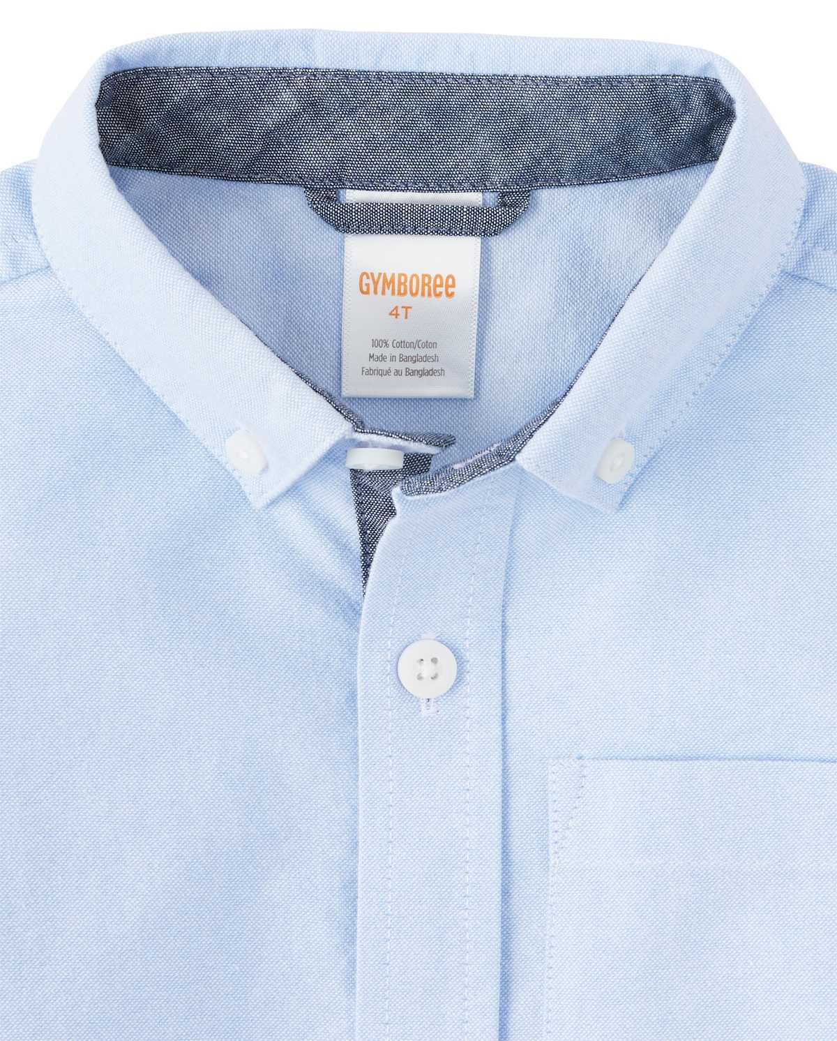 Детские рубашки Gymboree Boys Button Down Shirt - Spring Celebrations — фото 2
