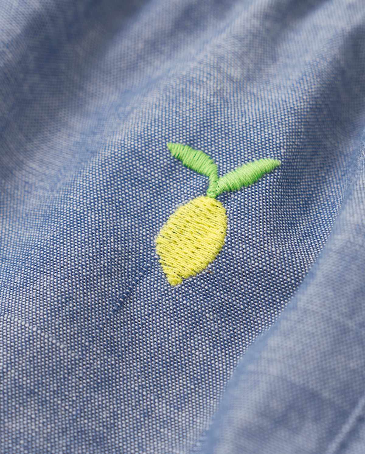 Детские шорты Gymboree Girls Embroidered Lemon Chambray Shorts - Citrus & Sunshine — фото 2