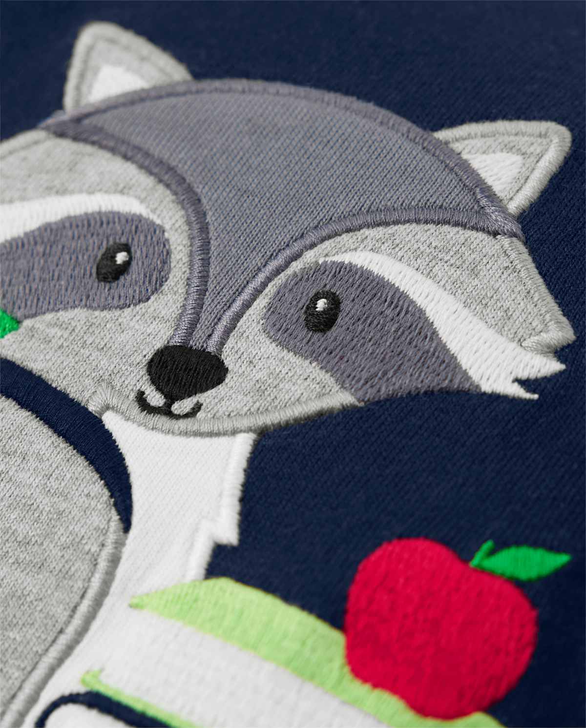 Детские топы Gymboree Boys Embroidered Raccoon Top - Head of the Class