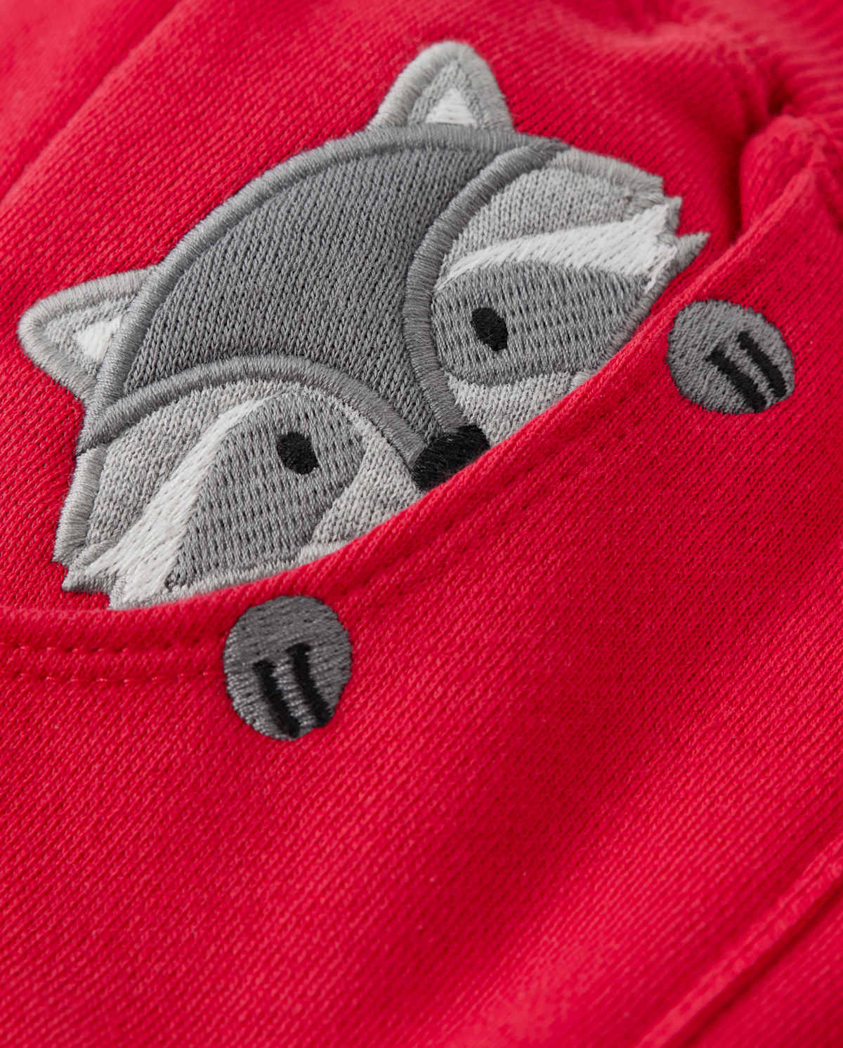 Детские брюки Gymboree Boys Raccoon Pull On Jogger Pants - Head of the Class