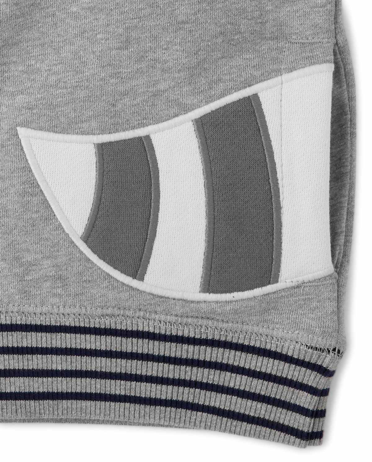 Детские худи Gymboree Boys Raccoon Zip Up - Head of the Class — фото 2