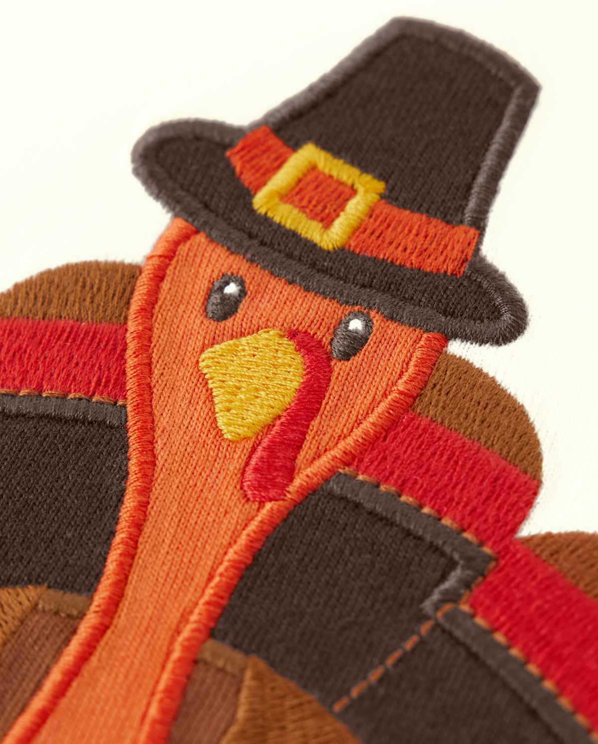 Детские топы Gymboree Boys Embroidered Turkey Raglan Top - Autumn Harvest