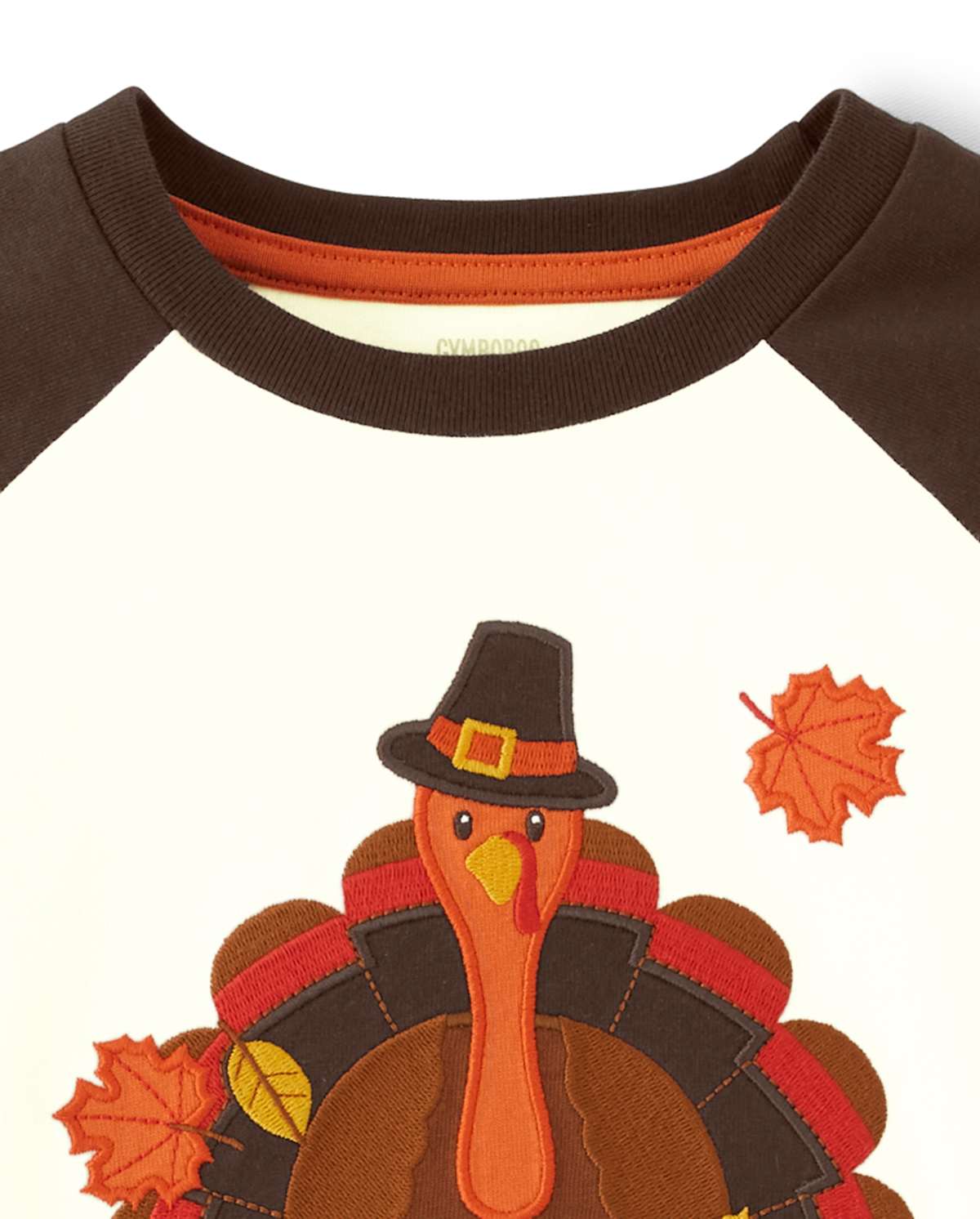 Детские топы Gymboree Boys Embroidered Turkey Raglan Top - Autumn Harvest — фото 2